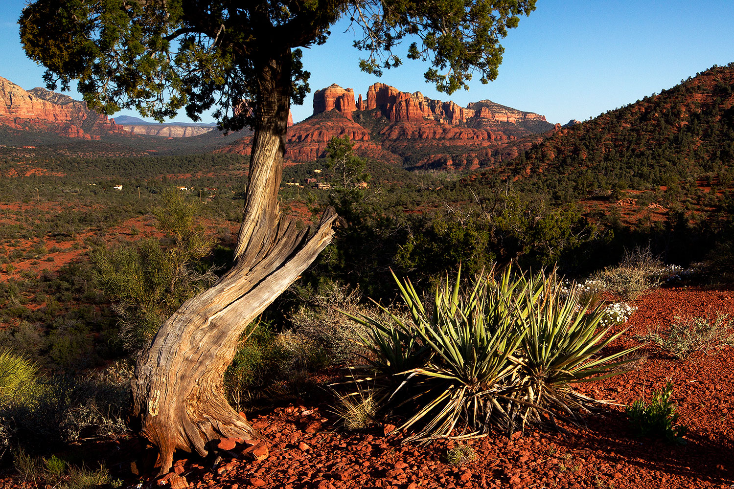 2012-04-16-sedona-cathedral-154710