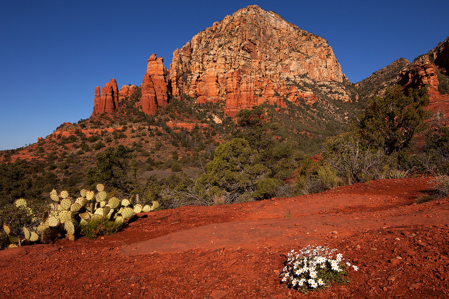 2012-04-16-sedona-thunder-5d2_0706