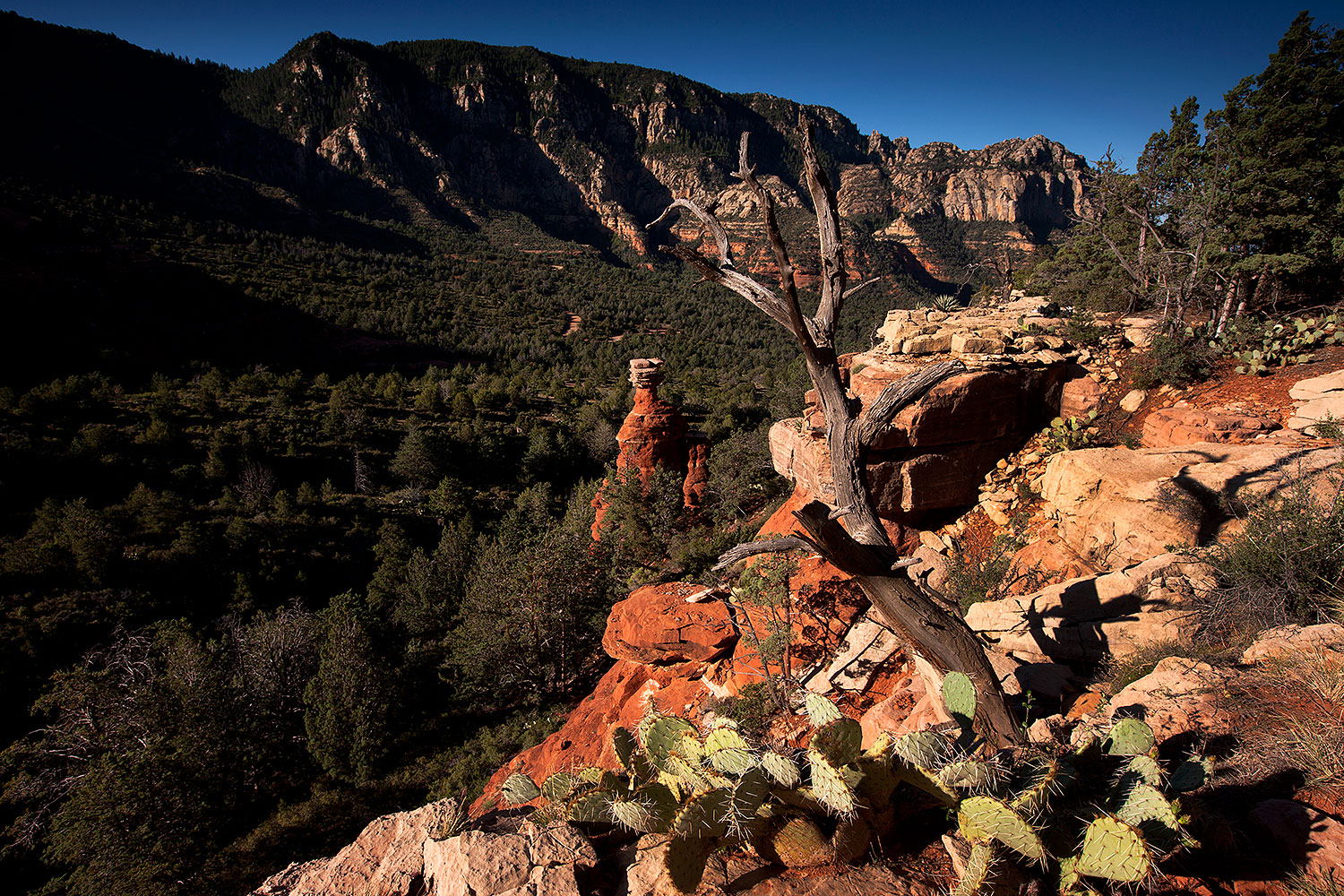 2012-05-04-schnebly-hood-top-1ds3_0032