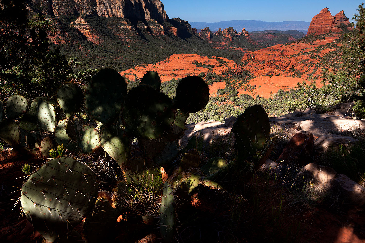 2012-05-04-schnebly-plat-top-1ds3_0070