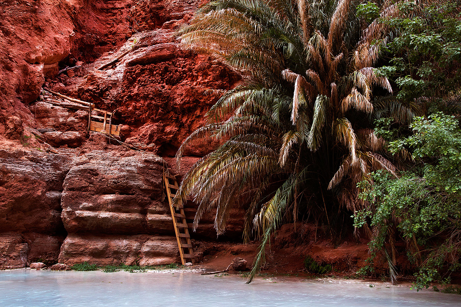 2012-05-13-havasu-beaver-ladder-163289