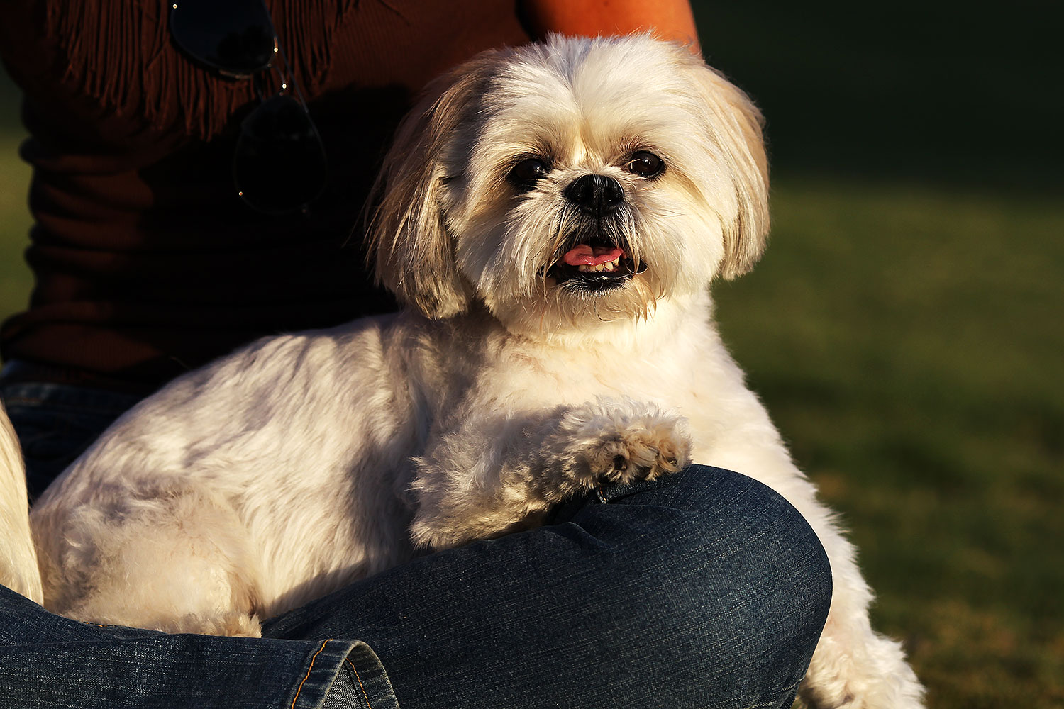 2012-09-23-fhills-bnb-1d4_2819