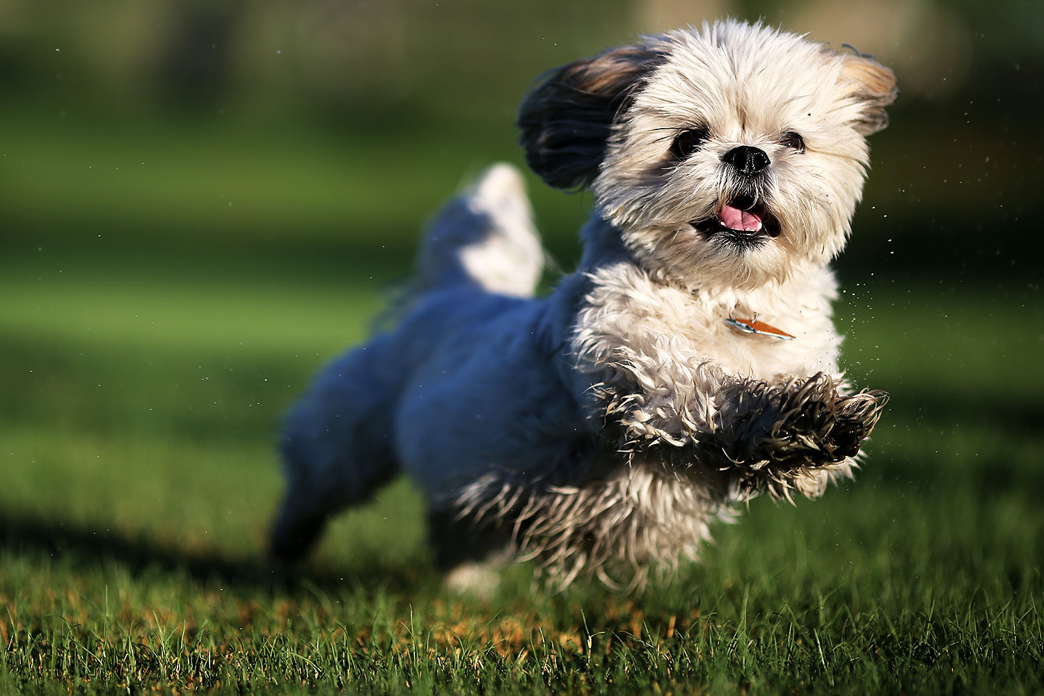 2012-10-13-fhills-bnb-1dx_1584