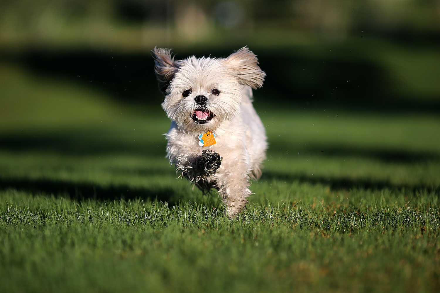 2012-10-13-fhills-bnb-1dx_1623