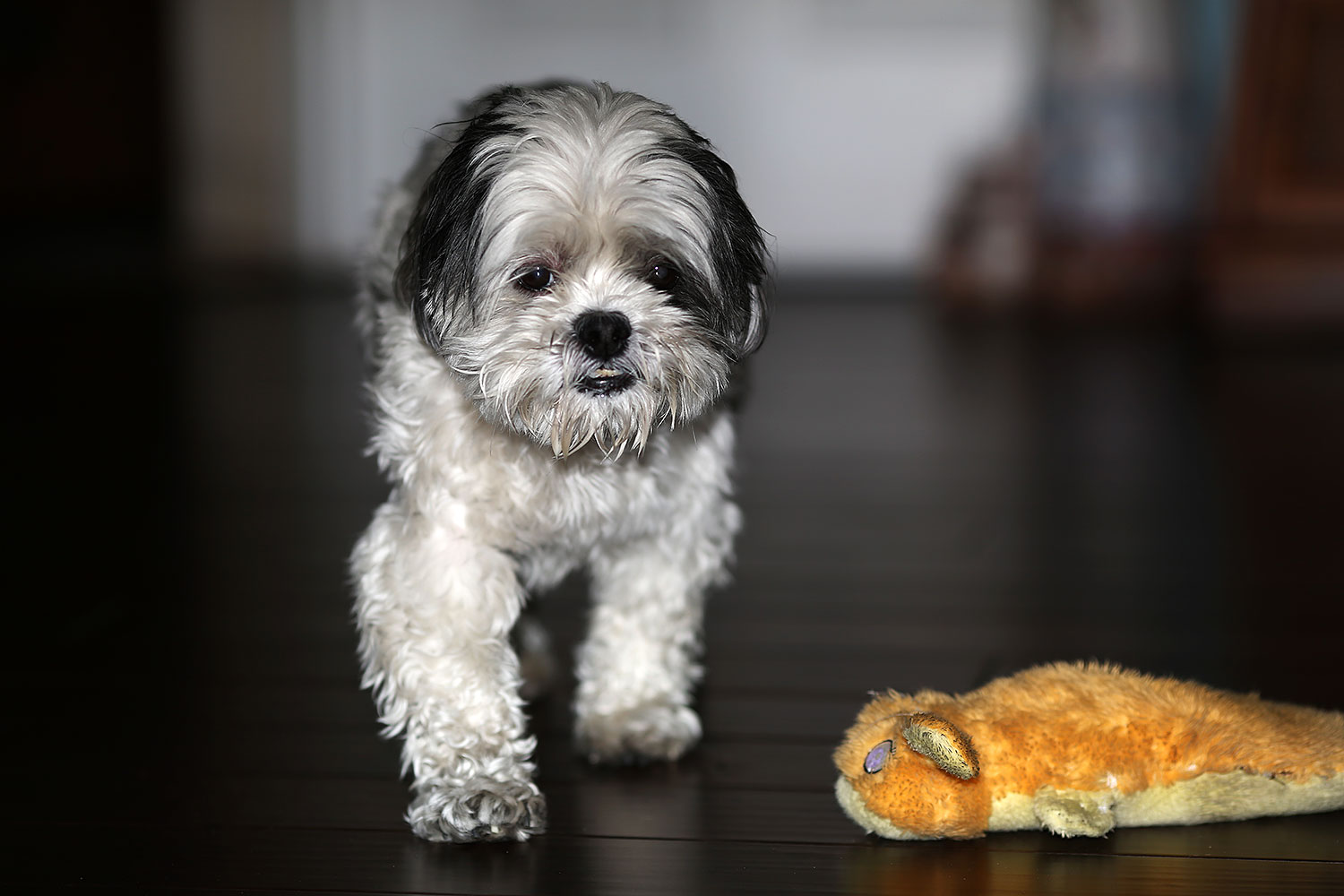 2012-10-13-fhills-bnb-1dx_2271