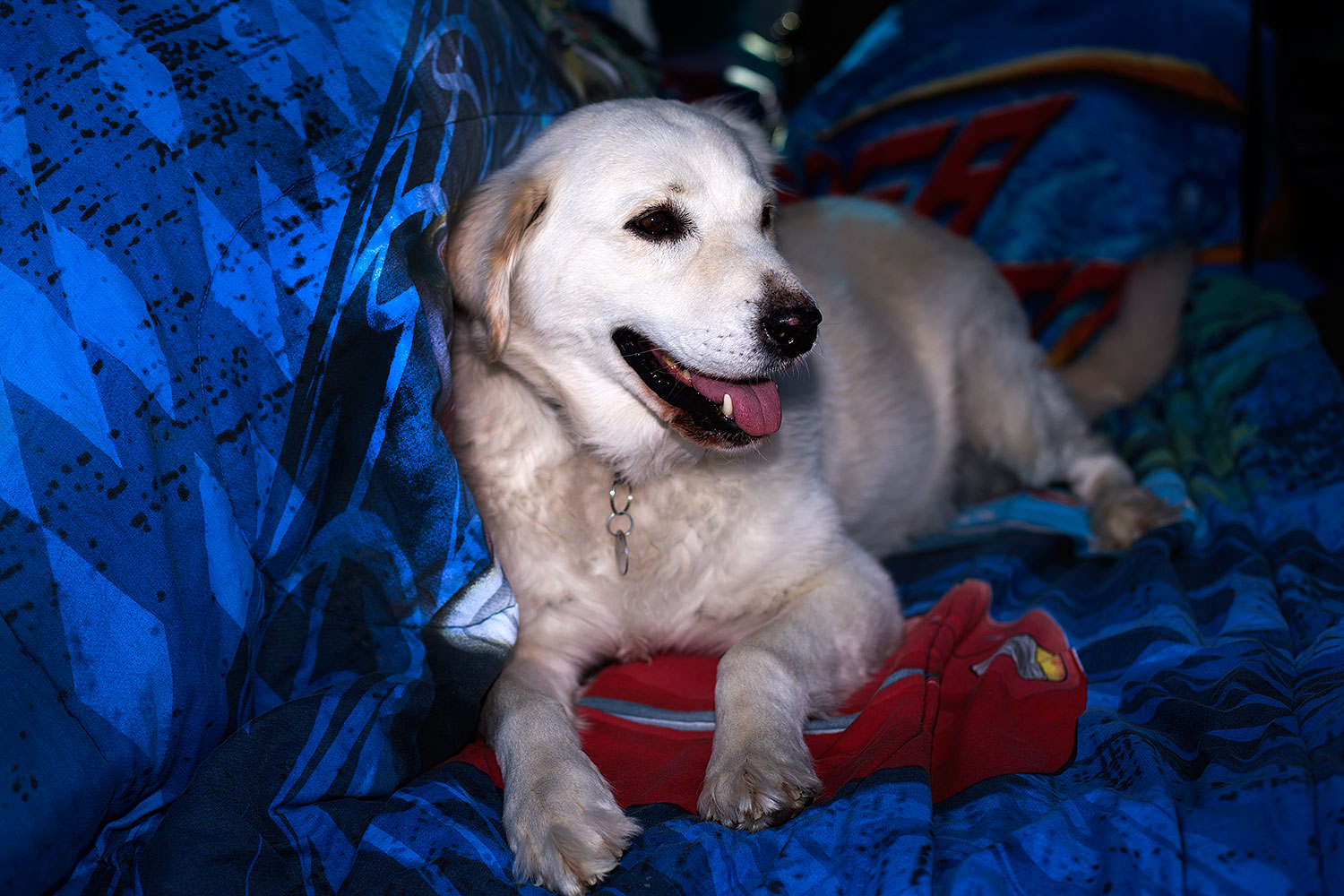 2012-12-07-tempe-casper-6890