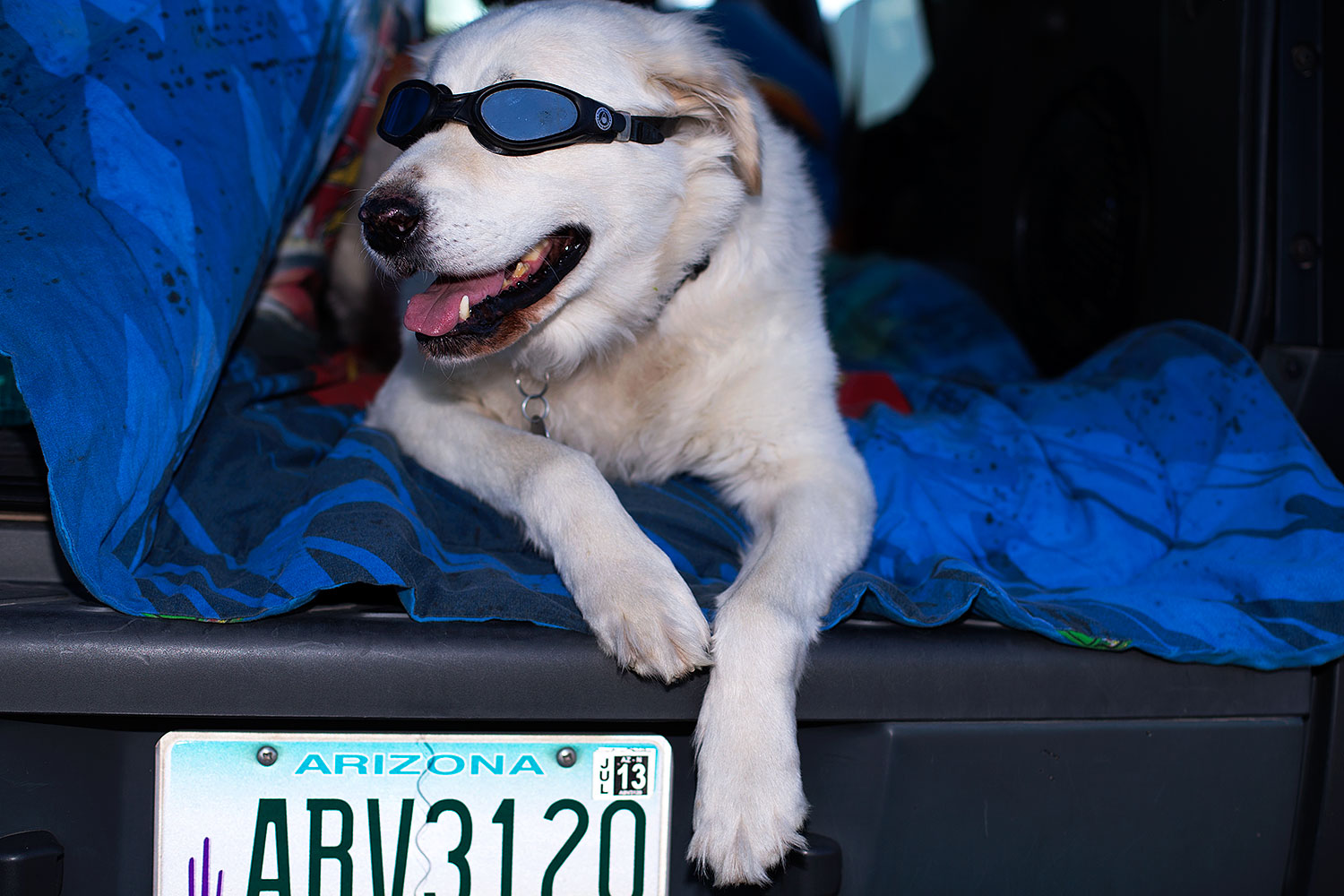 2012-12-07-tempe-casper-6908