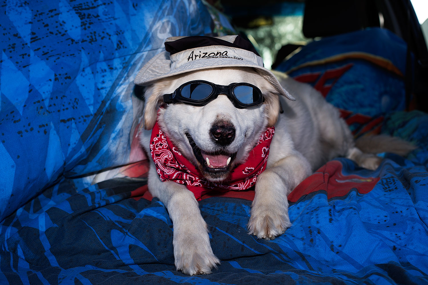 2012-12-07-tempe-casper-6968