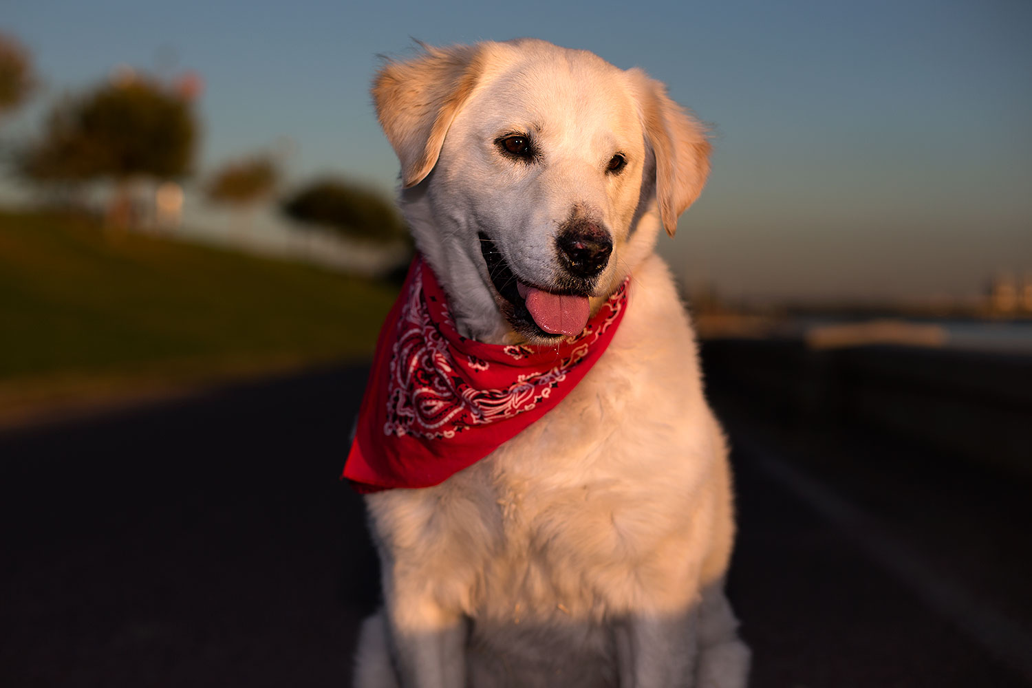 2012-12-07-tempe-casper-7122