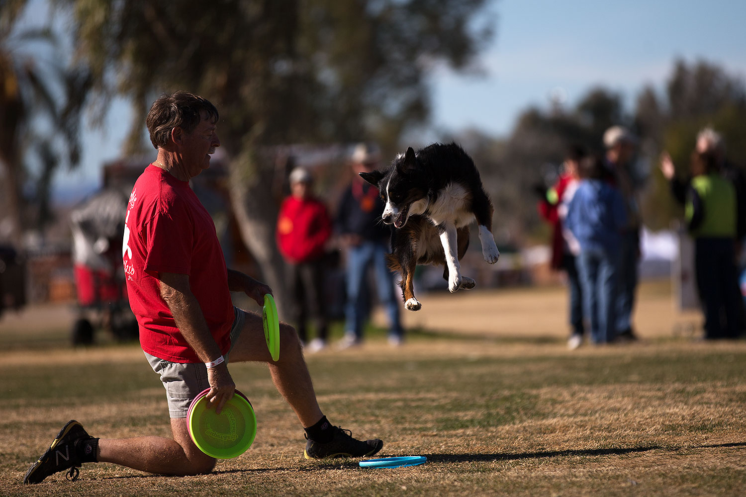 2013-01-18-havasu-balloons-dogs-20187