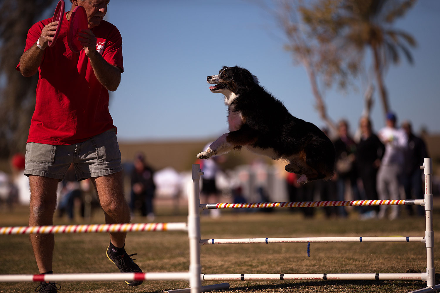 2013-01-18-havasu-balloons-dogs-20196