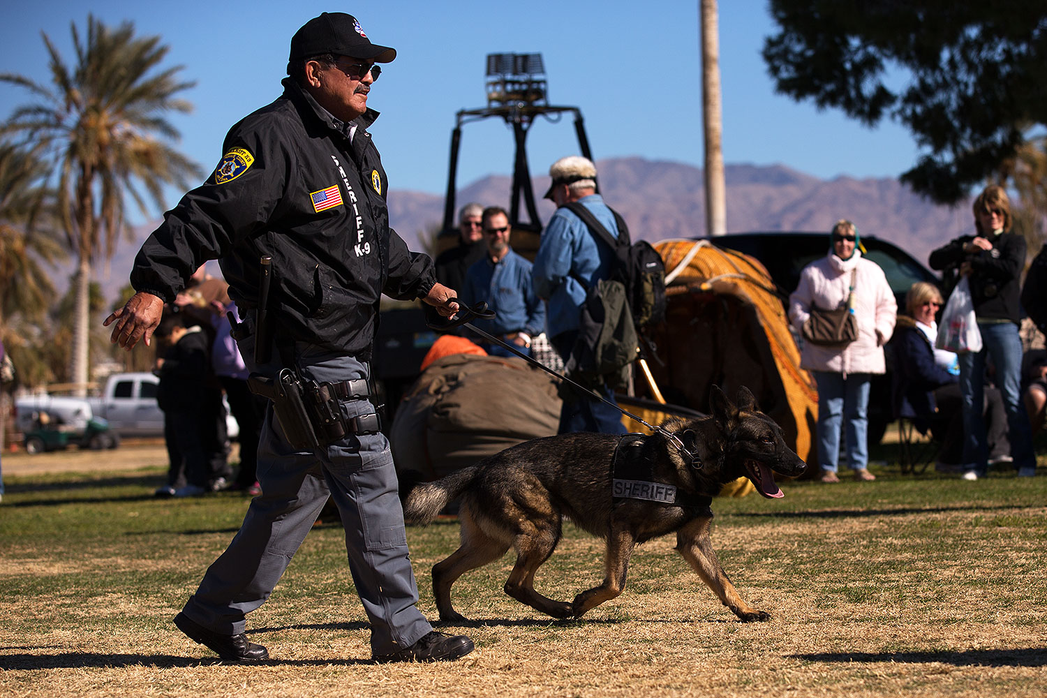 2013-01-18-havasu-balloons-dogs-20326