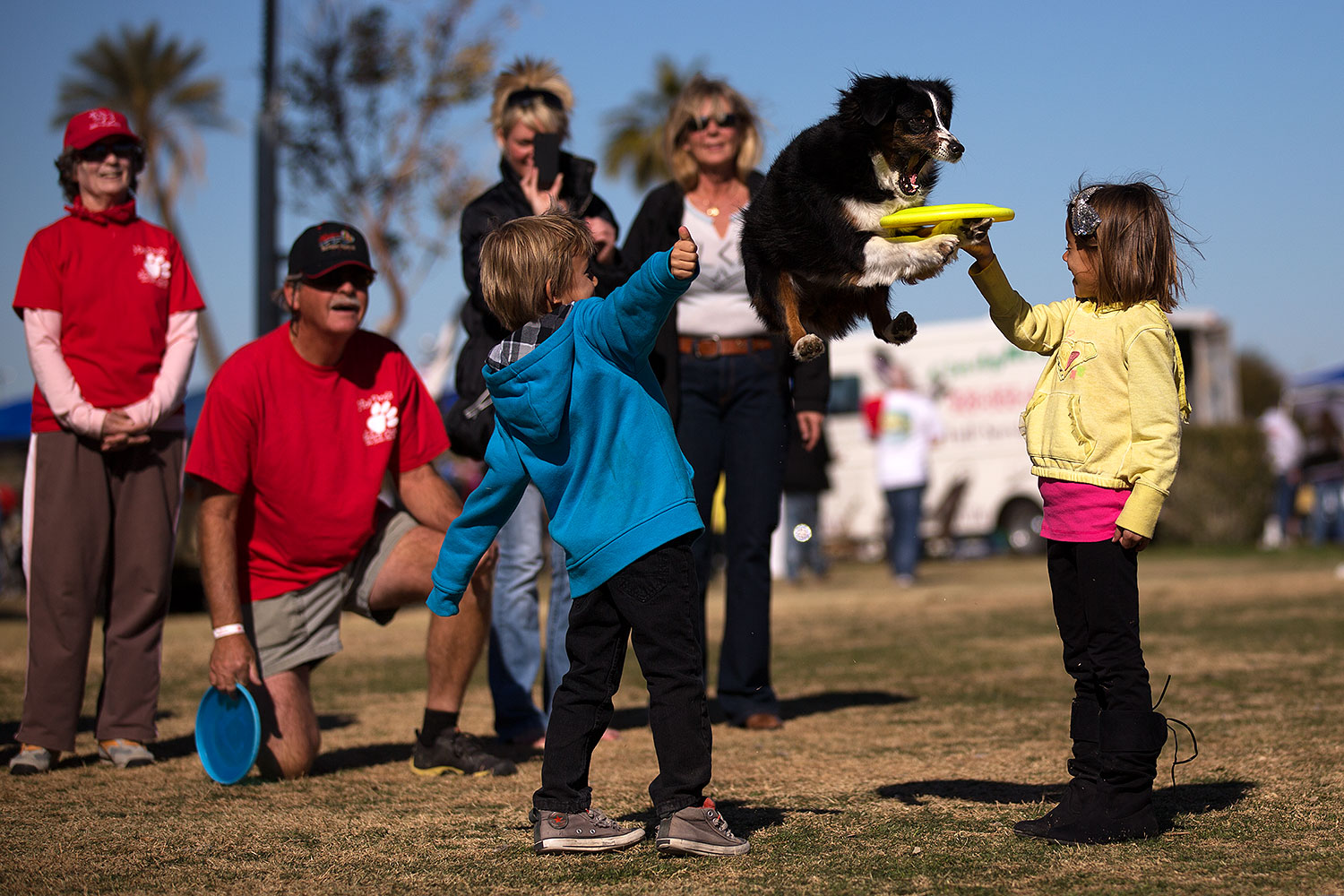 2013-01-20-havasu-balloons-dogs-21716