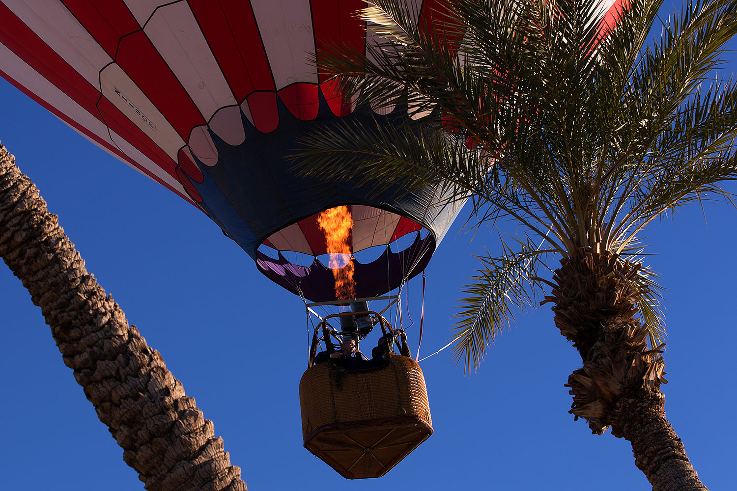 2013-01-21-havasu-balloons-22897