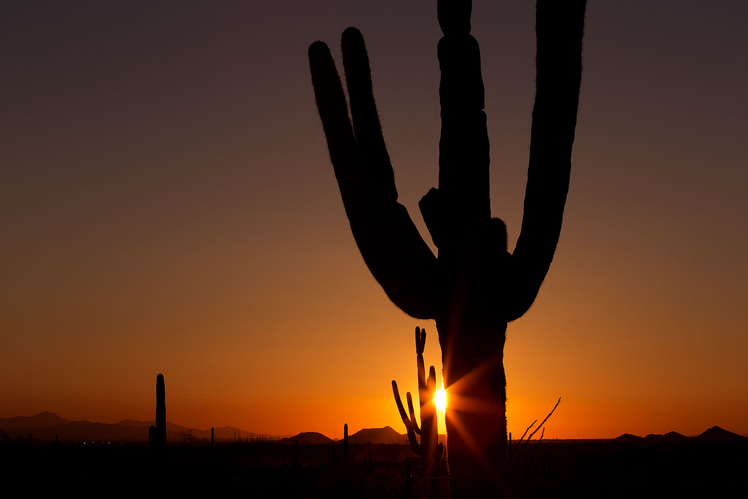 2013-03-12-supers-sunset-29651