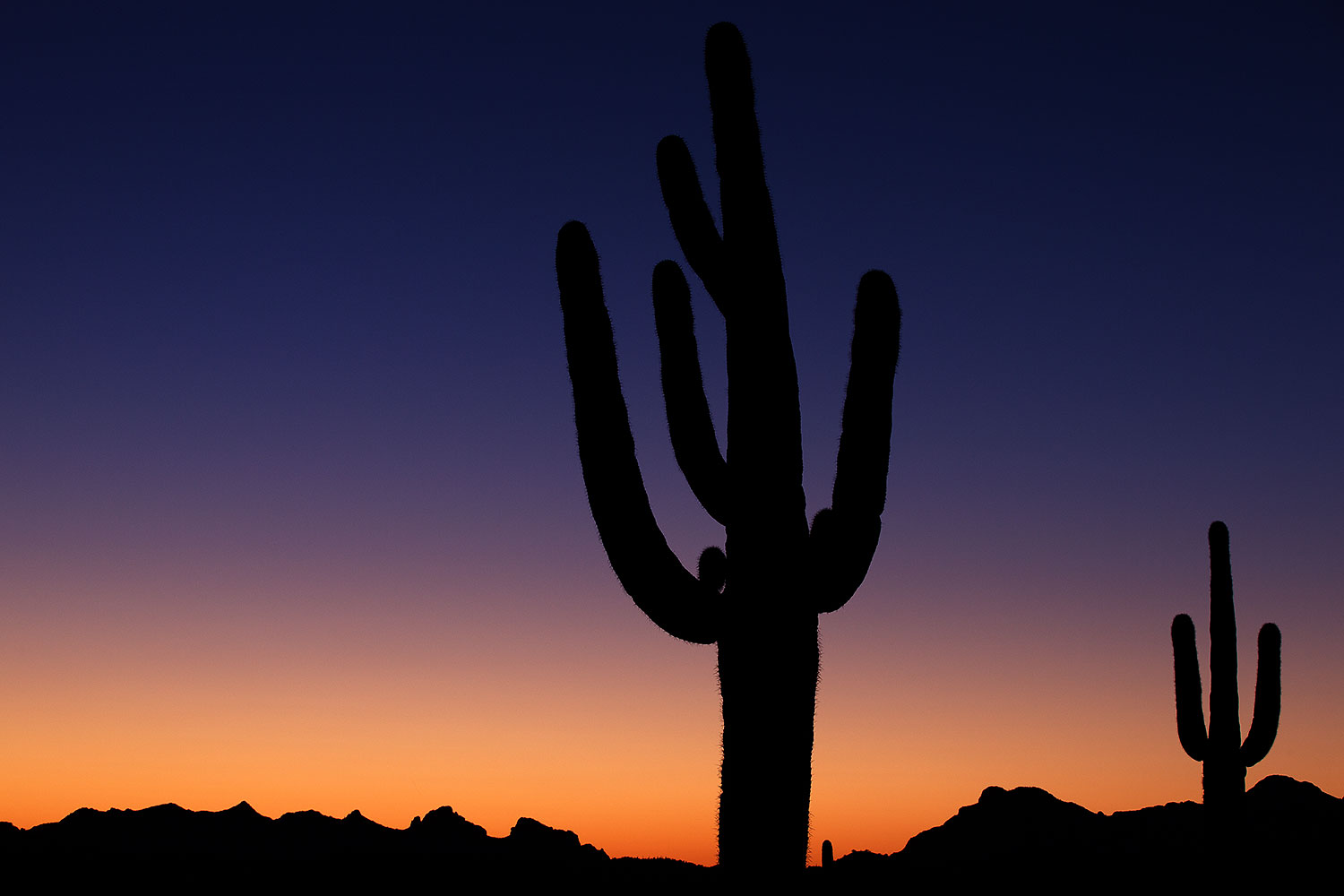 2013-04-10-supers-2silhouettes-36407