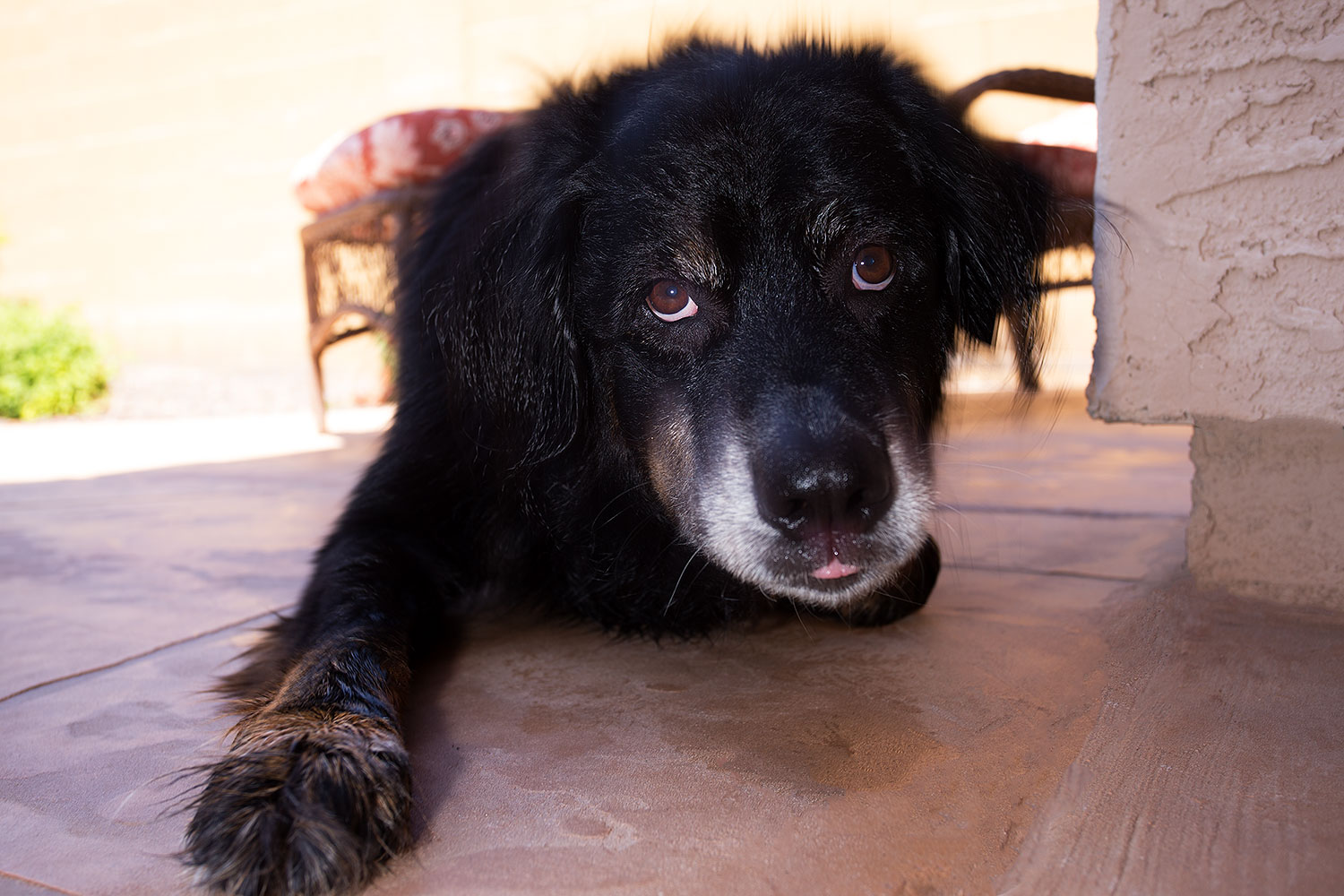 2013-04-28-dudley-shower-37361