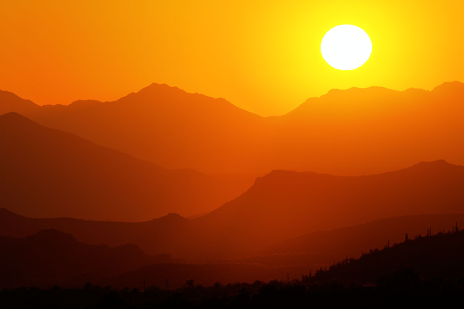 2013-05-02-supers-silh-3-4-37892