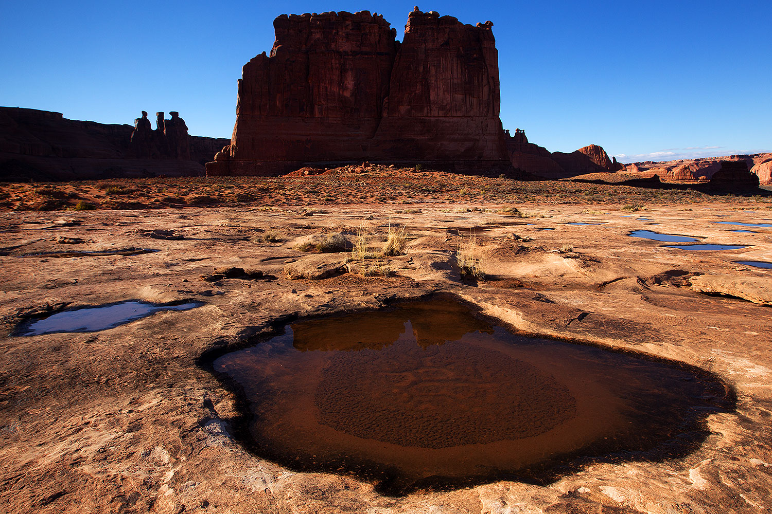 2013-10-31-courthouse-aft-1d4_0712