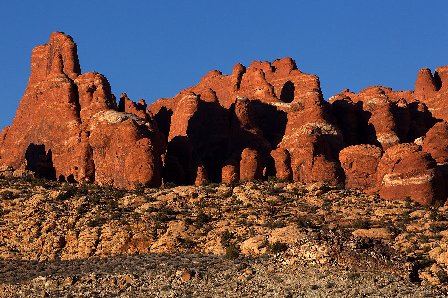 2013-11-01-fiery-furnace-1d4_2225