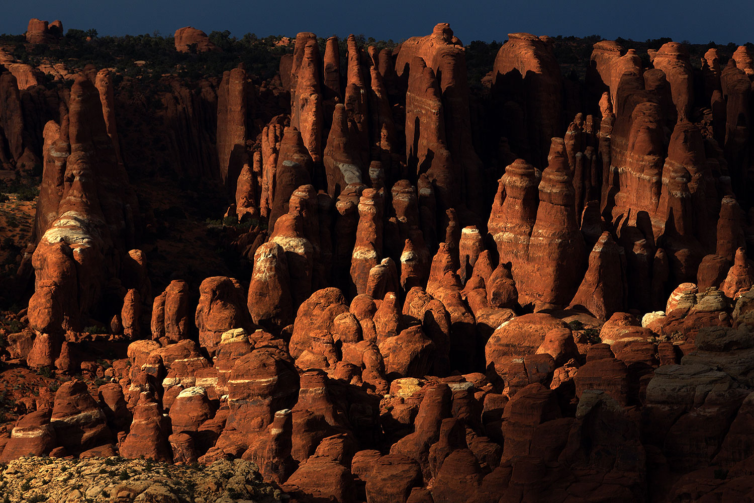 2013-11-03-fiery-furnace-1d4_3154