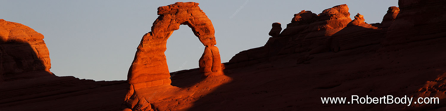 2013-11-06-delicate-back-1d4_3439sp