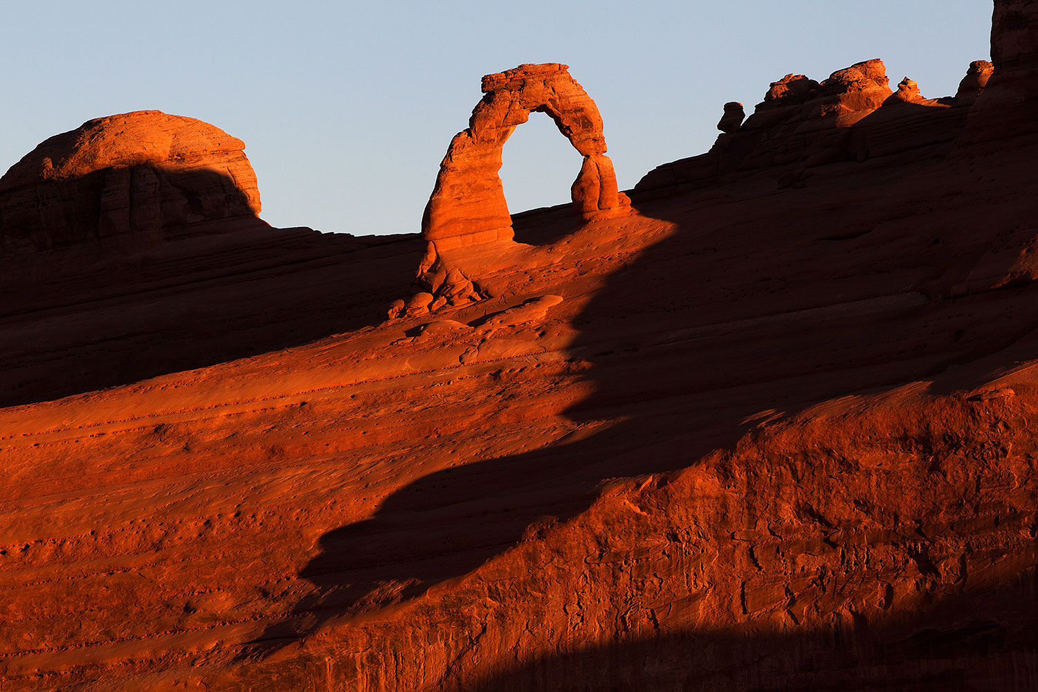 2013-11-06-delicate-back-1d4_3468