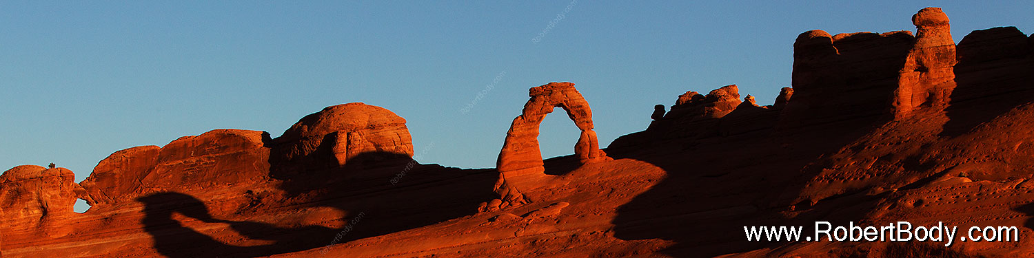 2013-11-06-delicate-back-1d4_3490sp