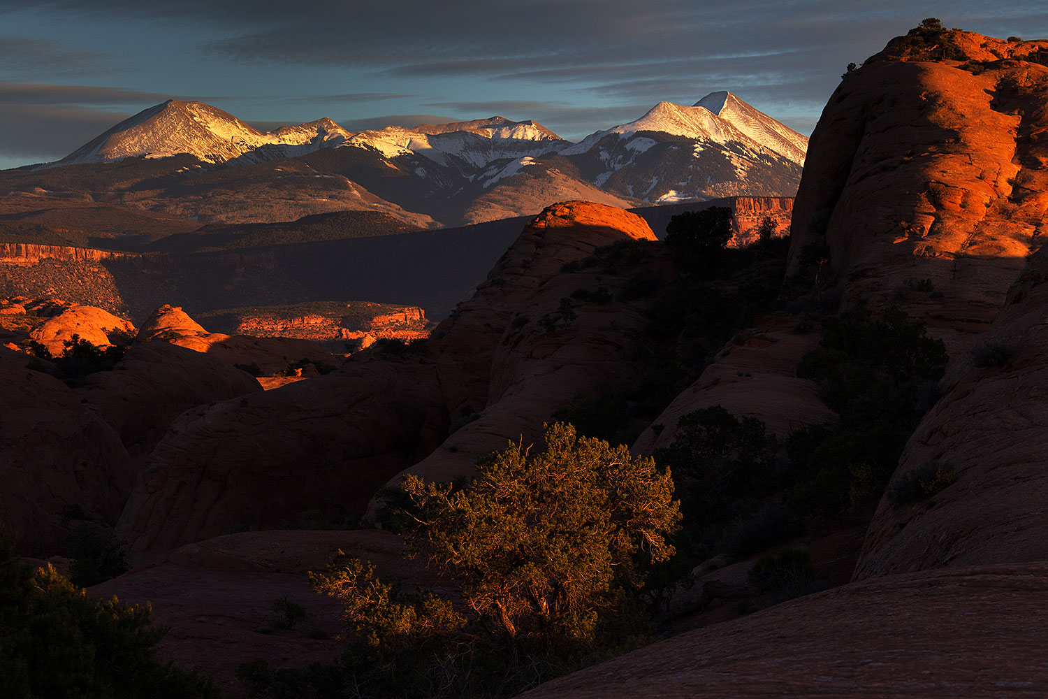 2013-11-09-la-sal-mount-1d4_4435