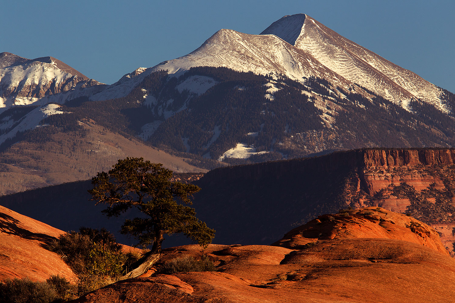 2013-11-09-la-sal-mount-2-1d4_4400