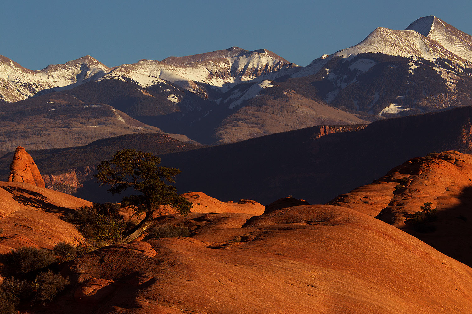 2013-11-09-la-sal-mount-45-1d4_4403