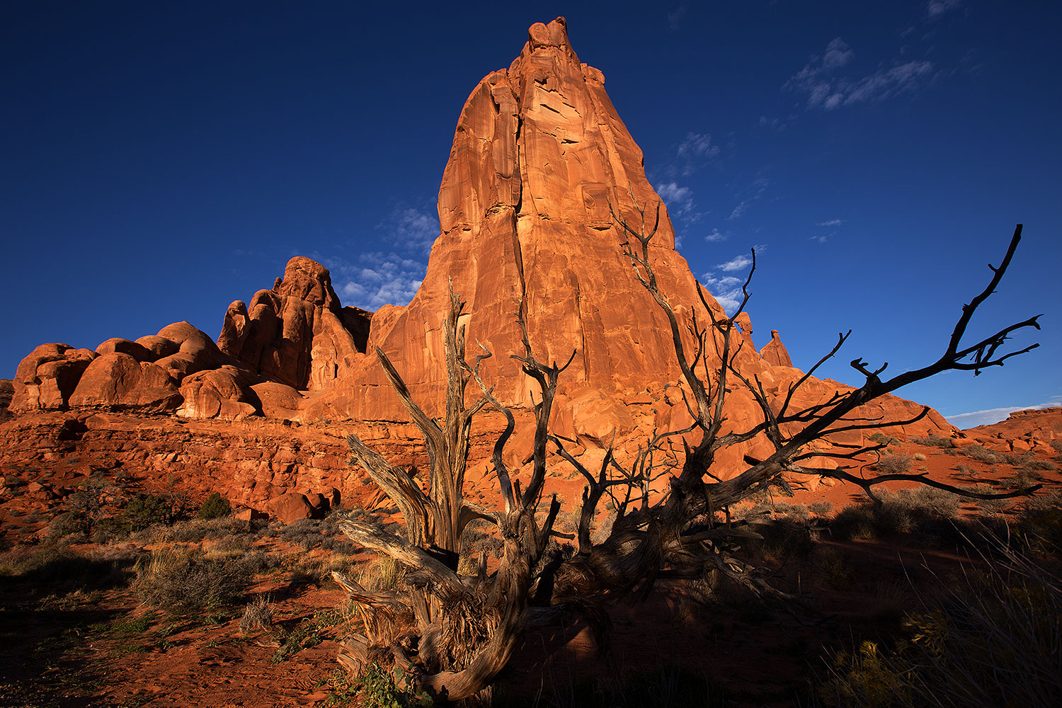 2013-11-09-park-ave-6d_0845