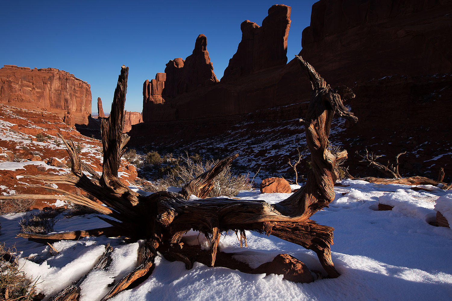 2013-12-25-arches-park-ave-5d3_7217