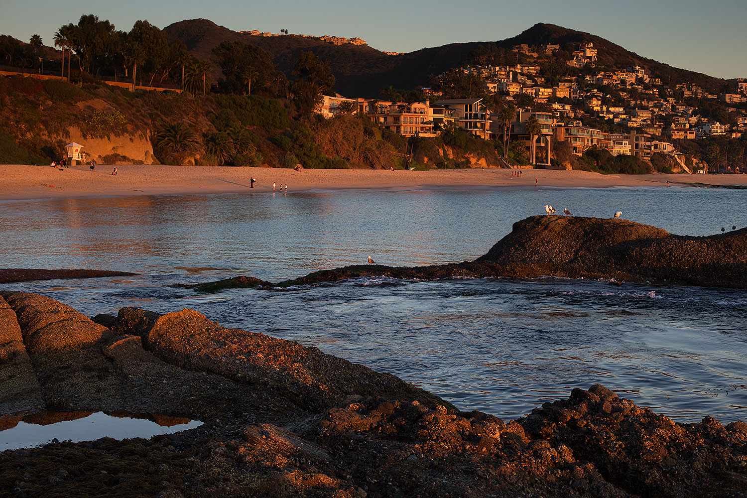 2014-01-05-laguna-evening-1x_23860