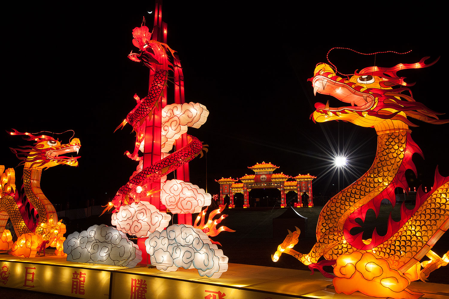 2014-02-03-fhills-chin-dragon-5d2_1506