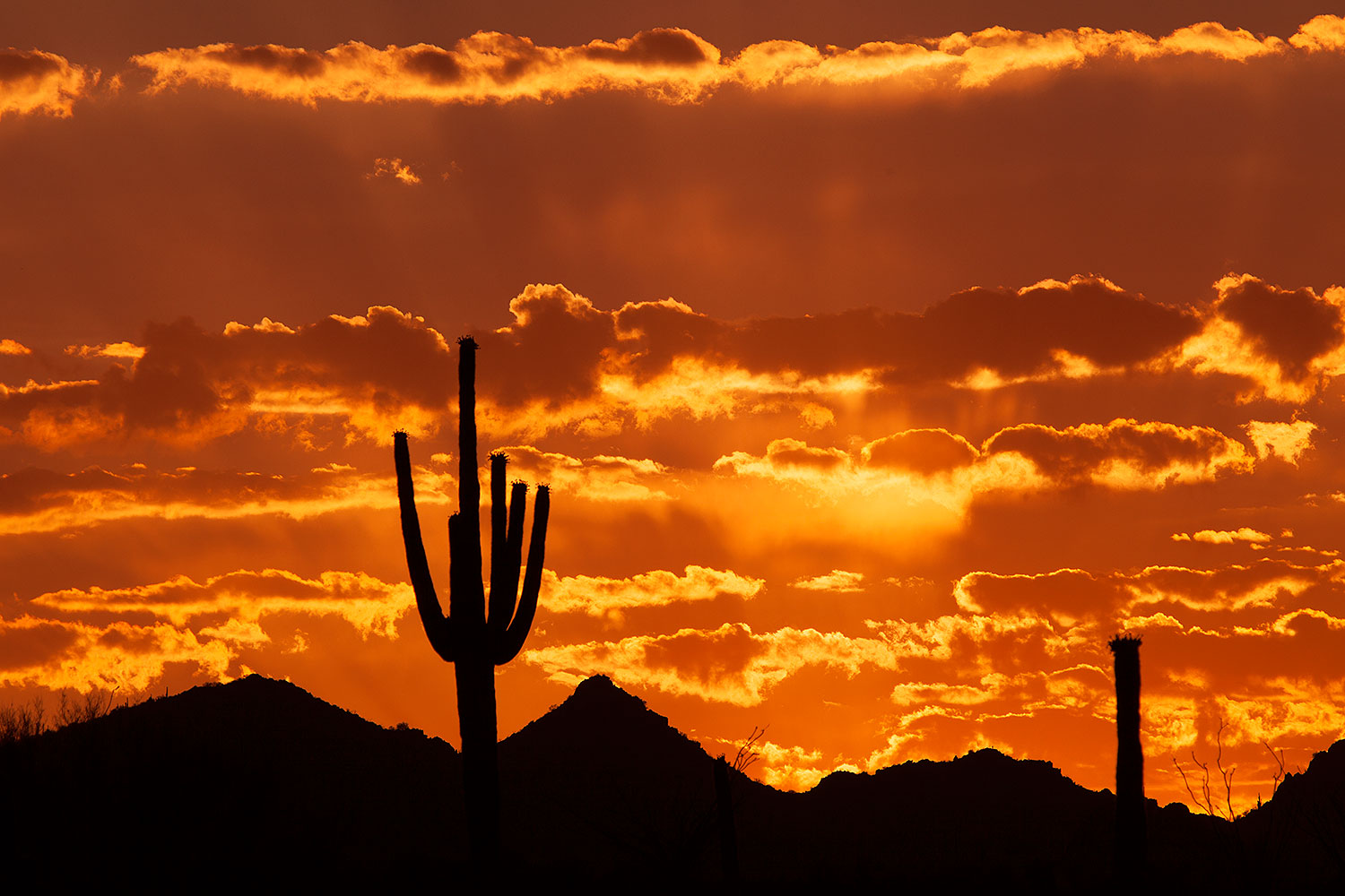 2014-06-16-supers-sunset-5d2_7318