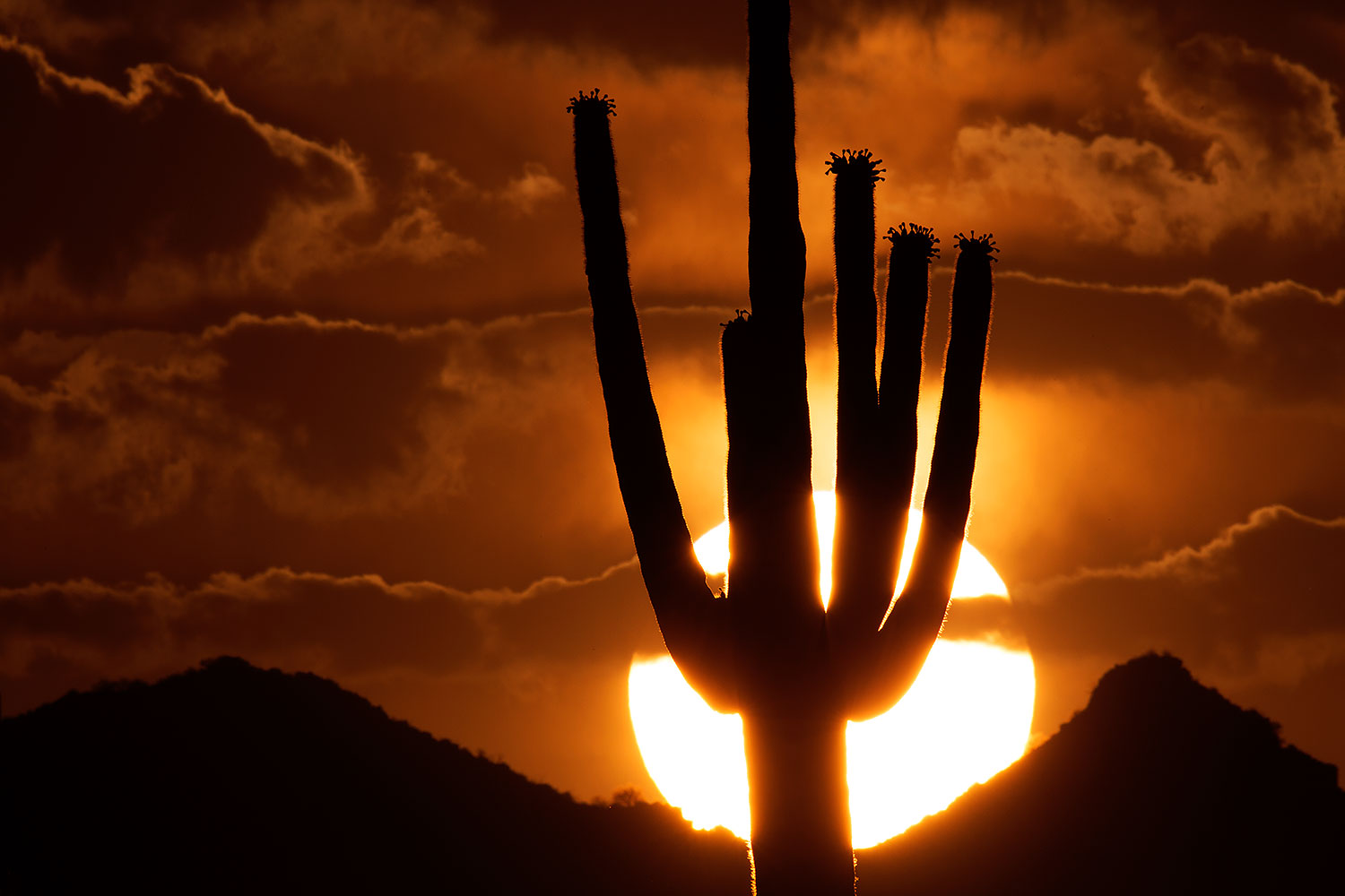 2014-06-16-supers-sunset-5d3_3232