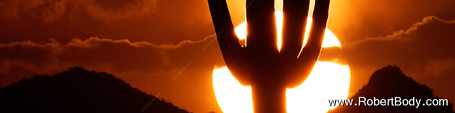 2014-06-16-supers-sunset-5d3_3232sp