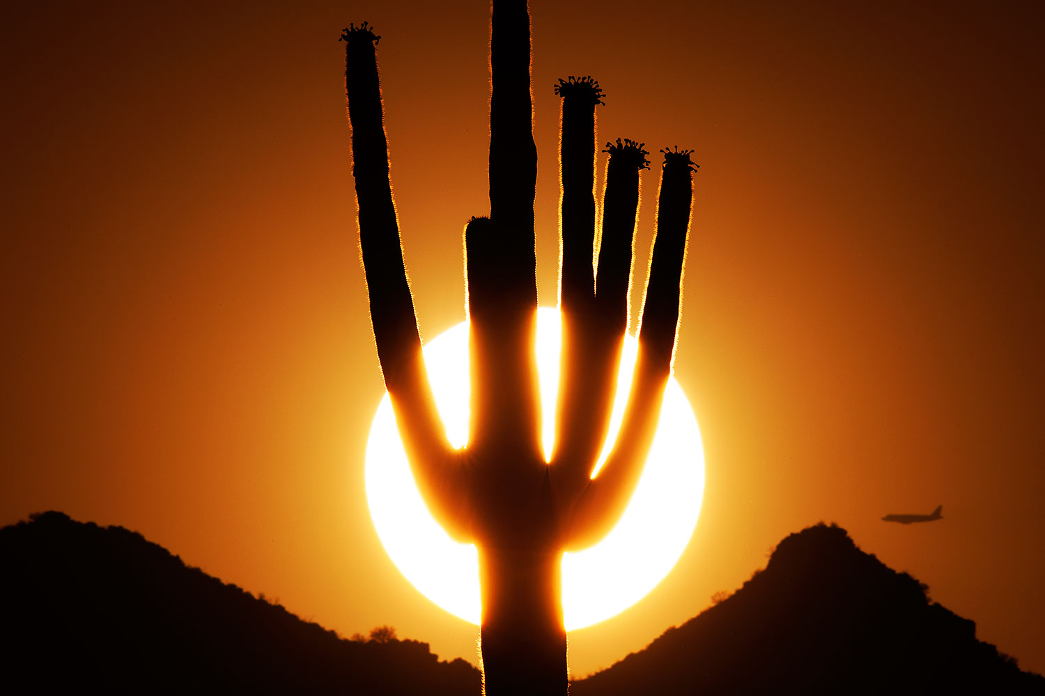 2014-06-18-supers-sunset-plan-5d2_7510