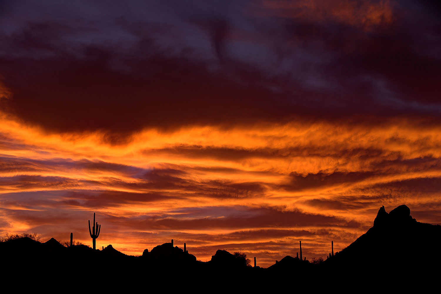 2014-07-01-supers-sunset-3-4-1dx_0732