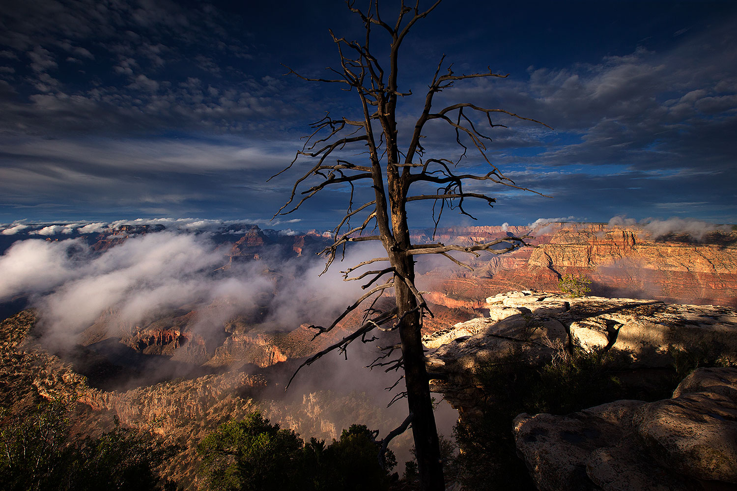 2014-08-13-gc-grandview-1dx_5029