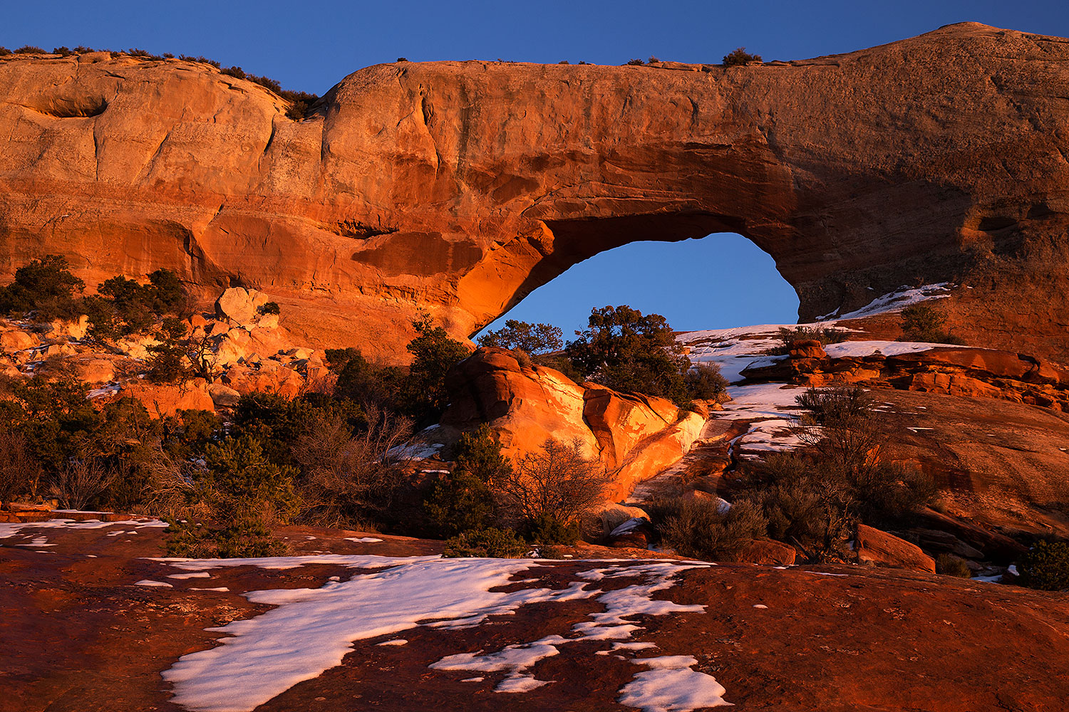 2015-01-09-wilson-arch-1dx_1362