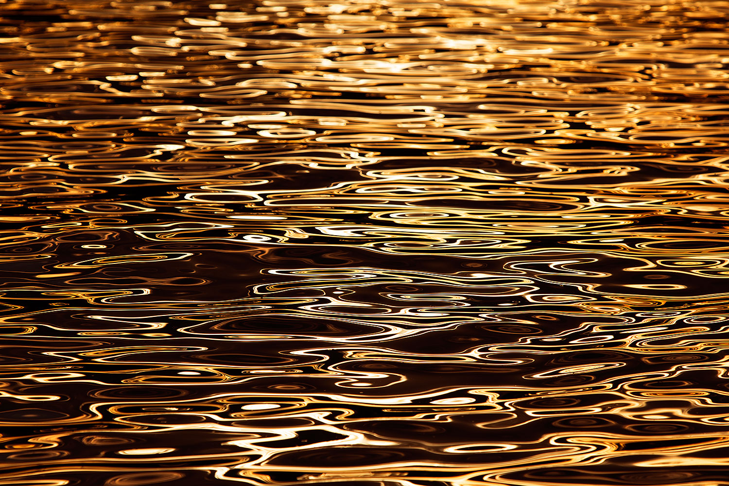 2015-01-12-tempe-patterns-1dx_1680