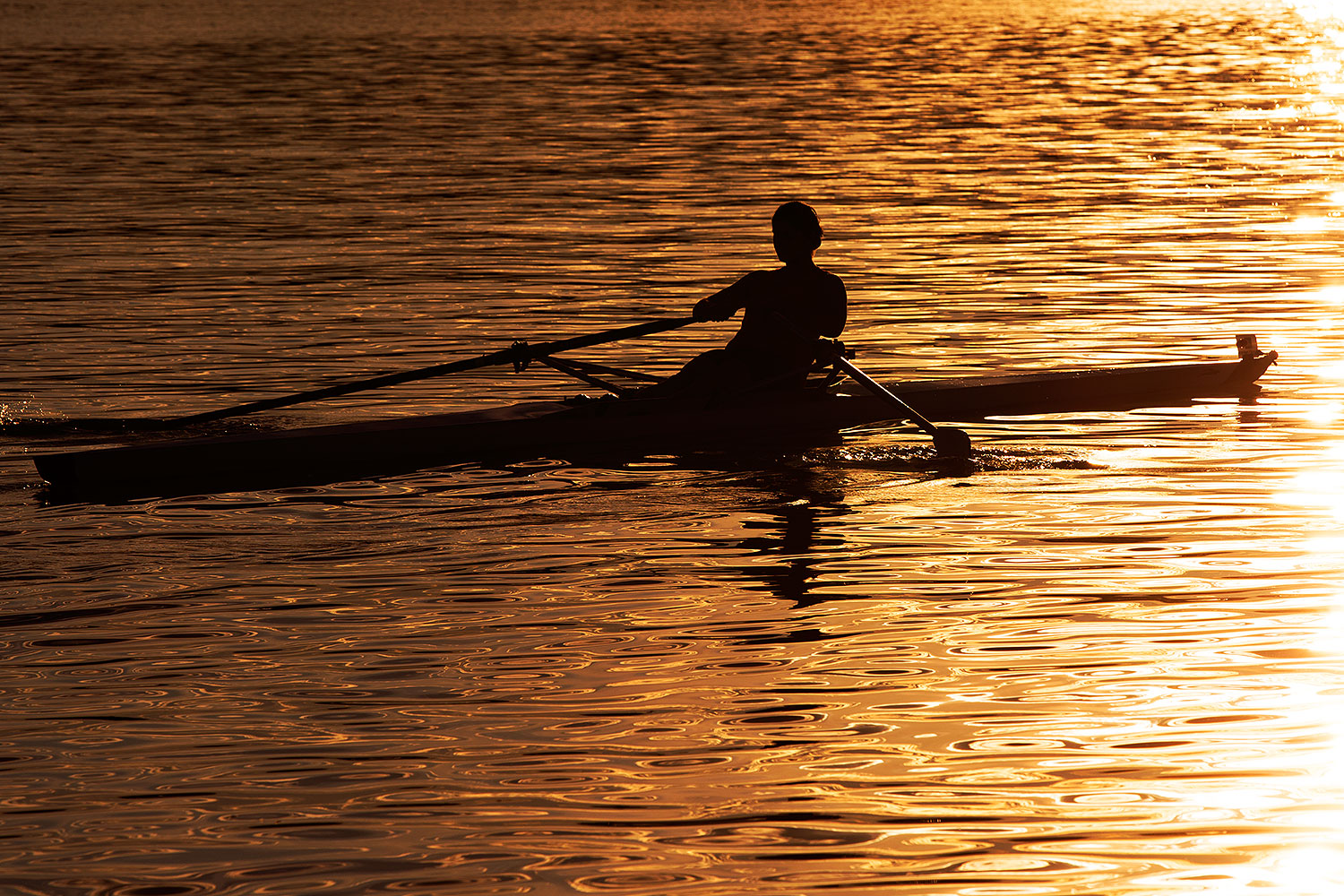 2015-01-12-tempe-silhouettes-1dx_1545