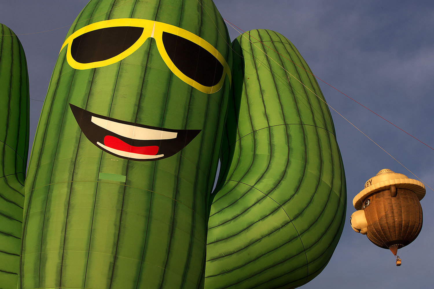 2015-01-18-havasu-balloons-1dx_9377