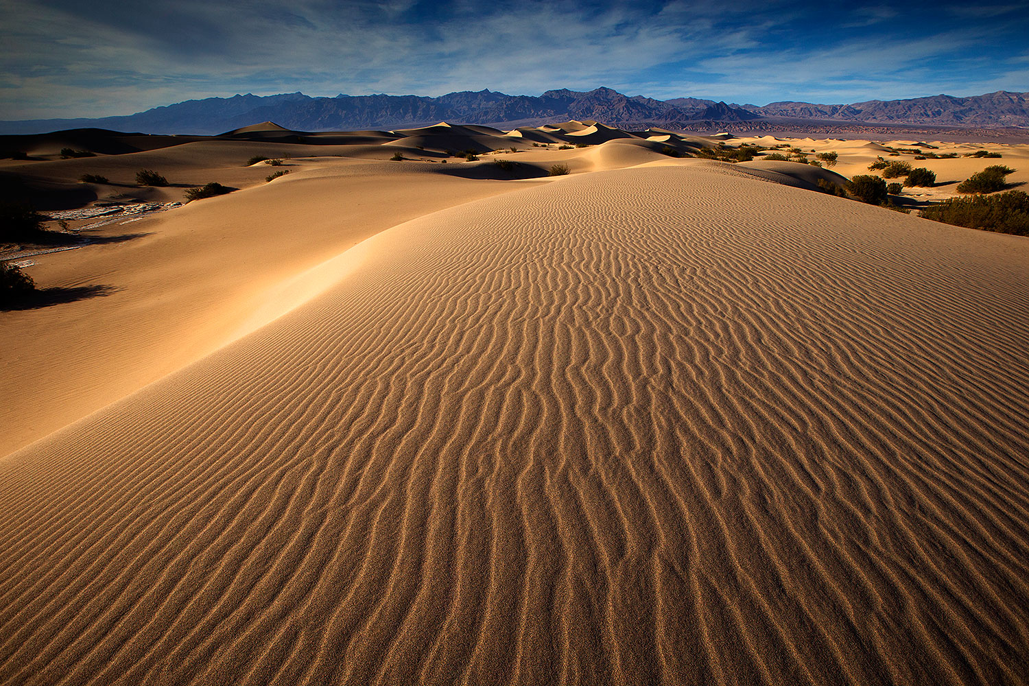 2015-06-20-dv-mesquite-27-30-1dx_2524