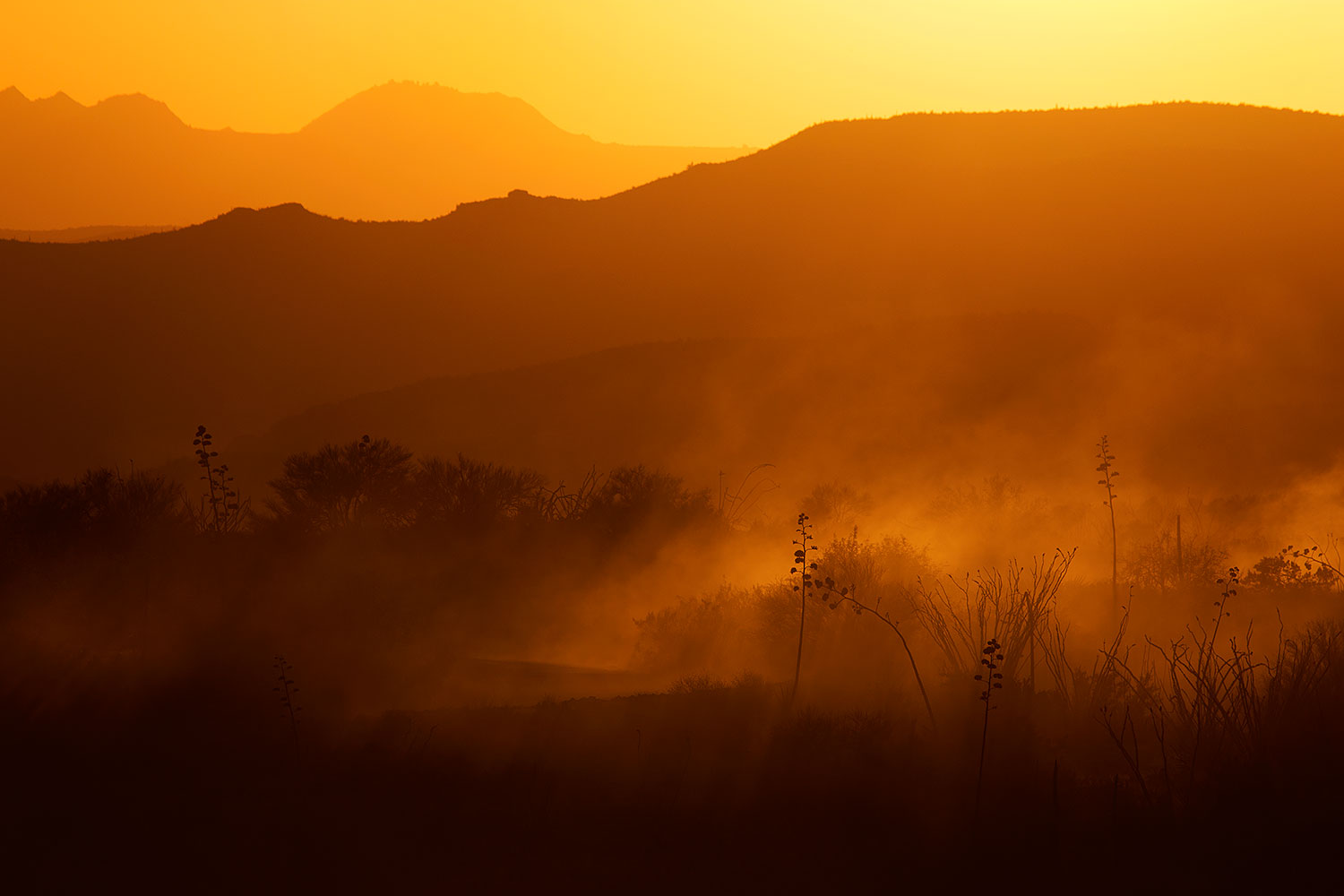 2015-07-08-sup-fish-sunset-6d_3858