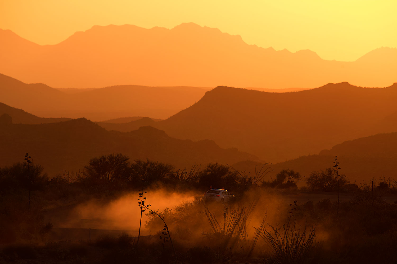 2015-07-14-sup-fish-car-6d_4322