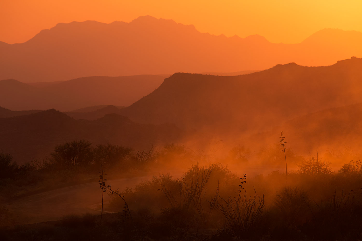 2015-07-15-sup-fish-sunset-6d_4641