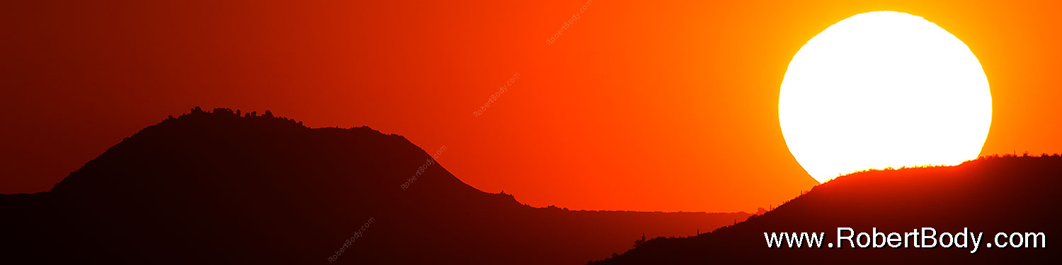 2015-07-21-supers-fish-sun-6d_5513sp